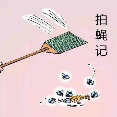 【拍蝇记】写借条打掩护 自作聪明难遮羞