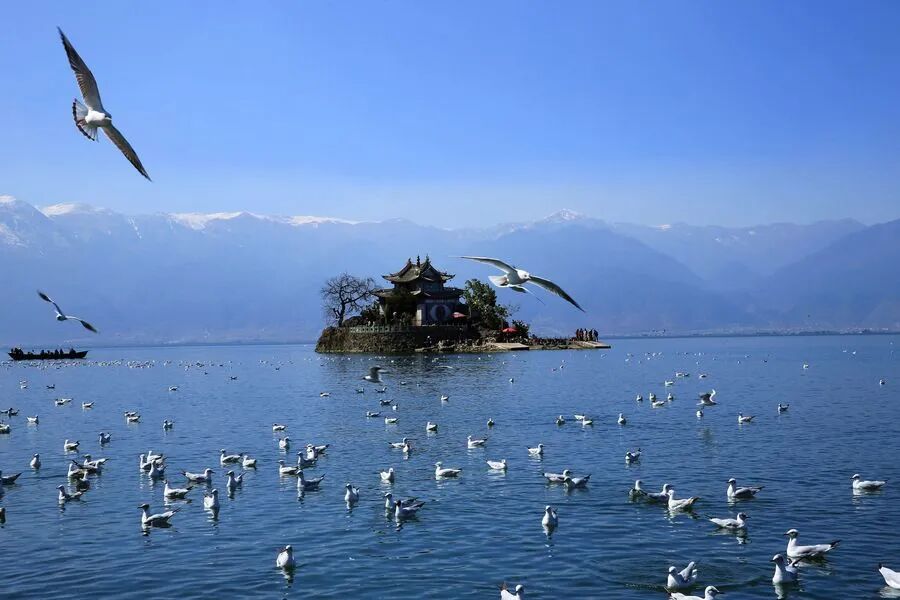 2024春节去云南旅游20个精选的打卡景点一览建议收藏