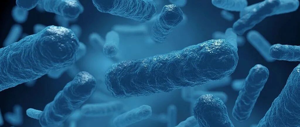 死亡率16年来首次上升！世卫专家：防治结核病可借鉴“新冠经验”