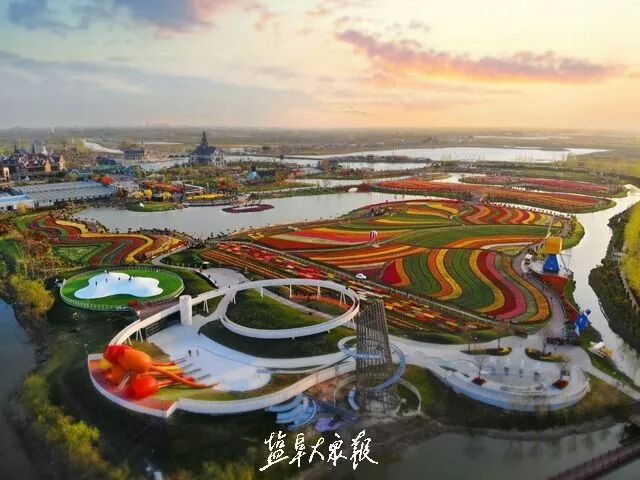 新版盐城十景出炉枯枝牡丹仅获提名奖