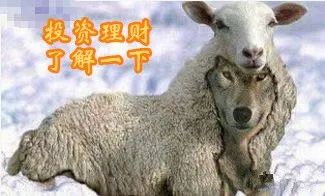 黑平台不出款出黑团队_有正规的出黑的平台_出黑款平台