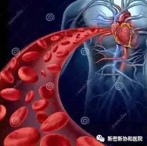 三氧疗法怎么代理德国三氧（O3）大自血疗法：能显著降脂软化血管疏通循环_https://www.jmylbn.com_新闻资讯_第5张