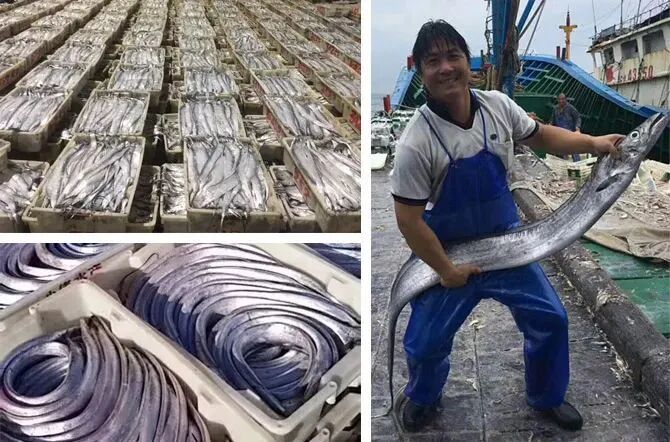 �������㡢���㣬������������㣡���������У�����һ���ߵ��������۲��ȣ���������10��~