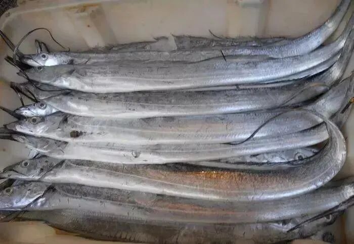 �������㡢���㣬������������㣡���������У�����һ���ߵ��������۲��ȣ���������10��~