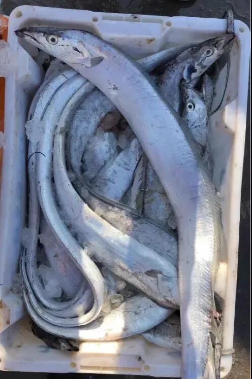 �������㡢���㣬������������㣡���������У�����һ���ߵ��������۲��ȣ���������10��~