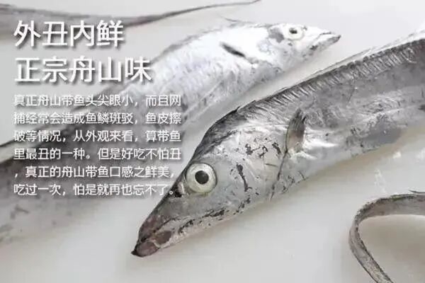 �������㡢���㣬������������㣡���������У�����һ���ߵ��������۲��ȣ���������10��~