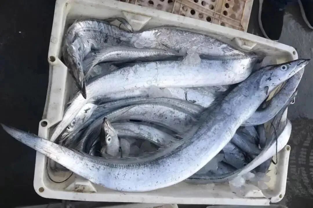 �������㡢���㣬������������㣡���������У�����һ���ߵ��������۲��ȣ���������10��~