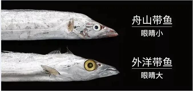 �������㡢���㣬������������㣡���������У�����һ���ߵ��������۲��ȣ���������10��~