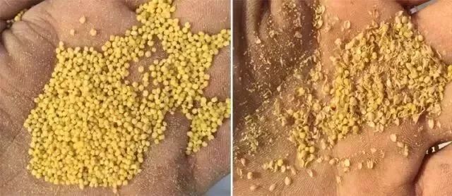 �������͸ó������ʳ��ƽ𡱣���θ���̲�������һ������ȫ�Ҷ���