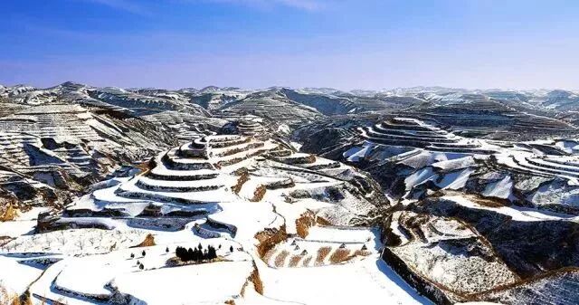 �������͸ó������ʳ��ƽ𡱣���θ���̲�������һ������ȫ�Ҷ���