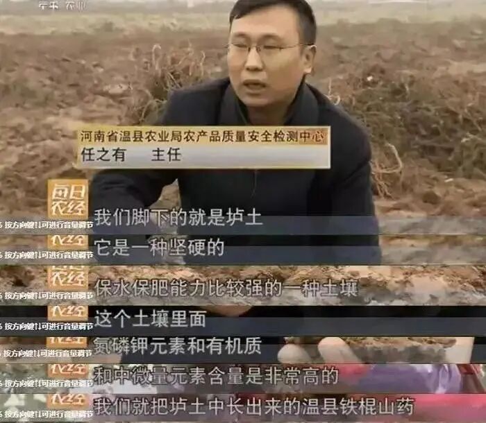 �������У���������������20��������ײ˶�������������һ��Ƣθ�á����ʰ���ȫ�Ҷ���~