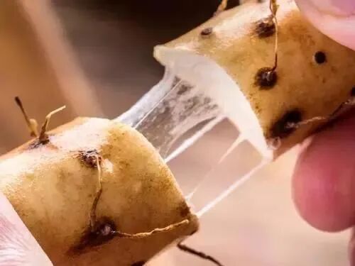 �������У���������������20��������ײ˶�������������һ��Ƣθ�á����ʰ���ȫ�Ҷ���~