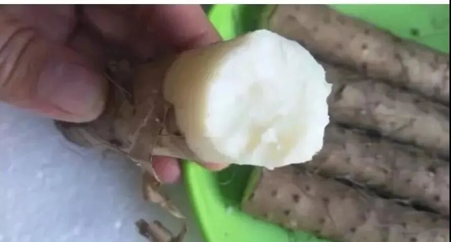 �������У���������������20��������ײ˶�������������һ��Ƣθ�á����ʰ���ȫ�Ҷ���~