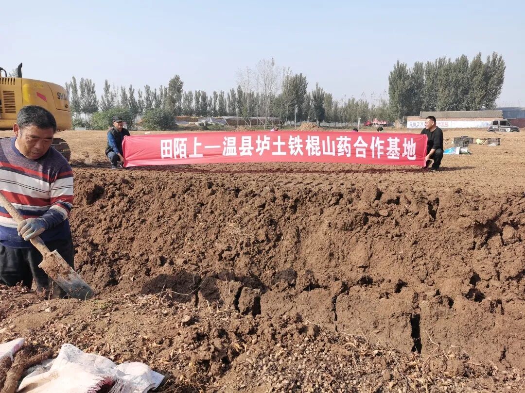 �������У���������������20��������ײ˶�������������һ��Ƣθ�á����ʰ���ȫ�Ҷ���~