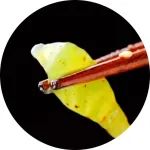 今日菜谱｜燥热天气吃碗它，清凉解暑！光滑爽口，学会后都不用煮饭了~