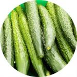 买黄瓜，懂行人专看这点！无激素，保准一挑一个准，鲜嫩又脆爽～