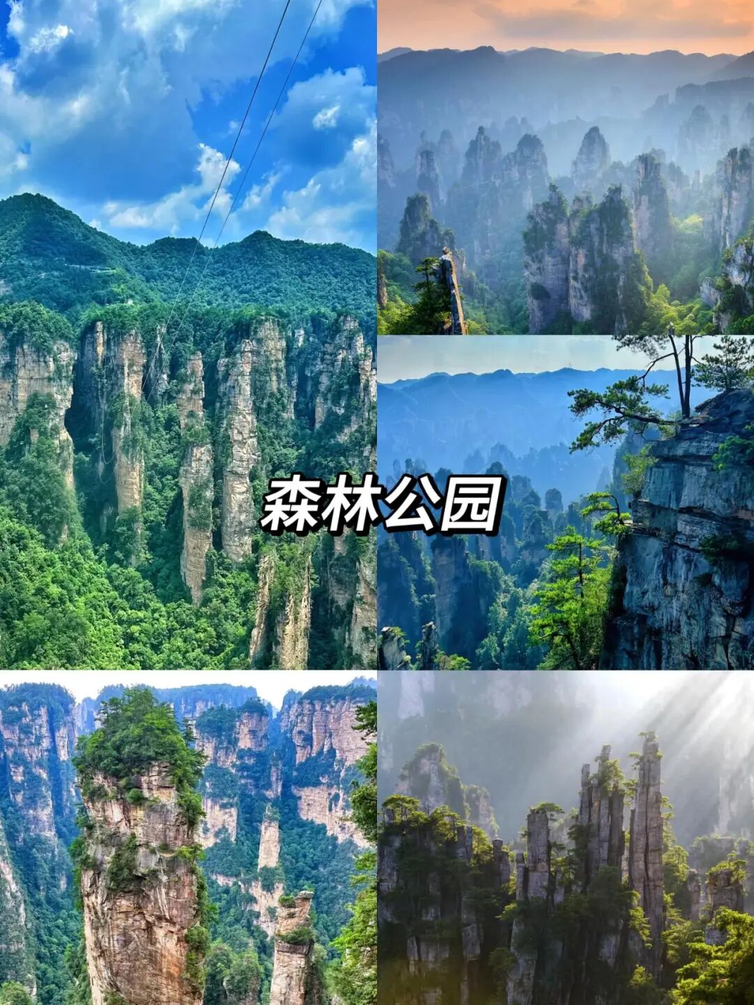 张家界旅游全攻略：必去景点+路线+费用+游玩指南，首次出行必备省钱省心指南