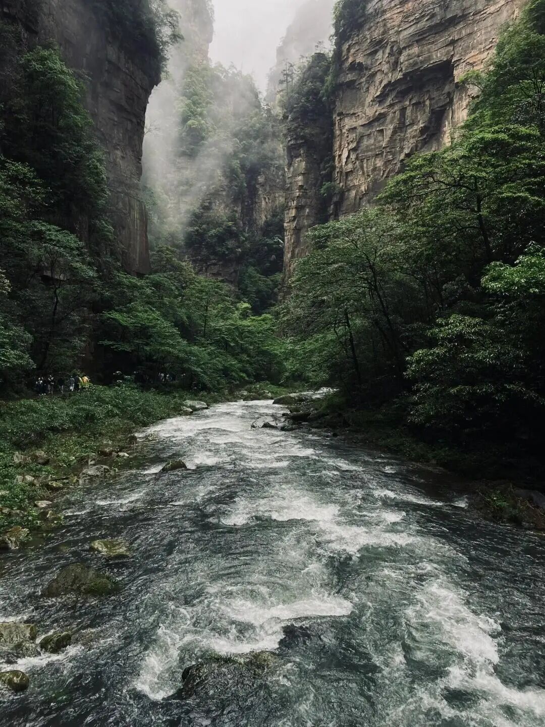 张家界旅游需要多少钱