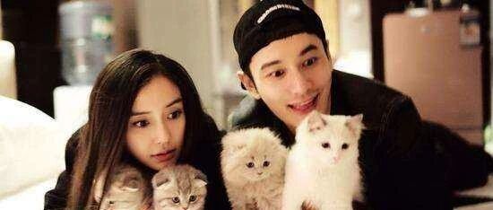 黄晓明与Angelababy离婚！曾合体代言一家美股上市公司，二人还有直接商业关联吗！