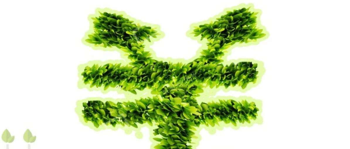 [博鳌专访]银行业如何抓住“碳”机遇?中国绿色金融体系还有哪些不足?