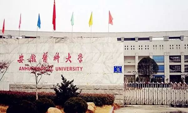 慈恩名人堂 I 卢松林：精于技术，专于种植。