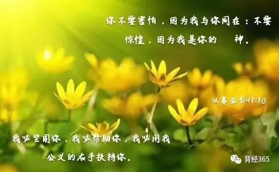 背经365 洪水泛滥之时 耶和华坐着为王 19 7 9 背经365 微信公众号文章阅读 Wemp