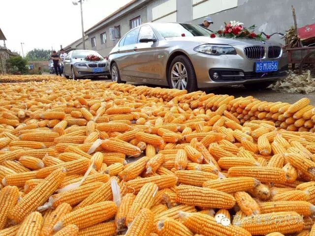 袁隆平获聘农民丰收节推广大使_中国医师节是哪一天_中国农民丰收节是哪一天