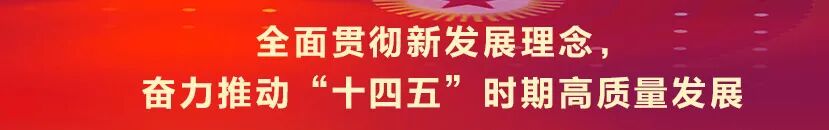 平凉网络优化（网聚正能量 护航新征程2020年平凉市网络安全和信息化工作综述）