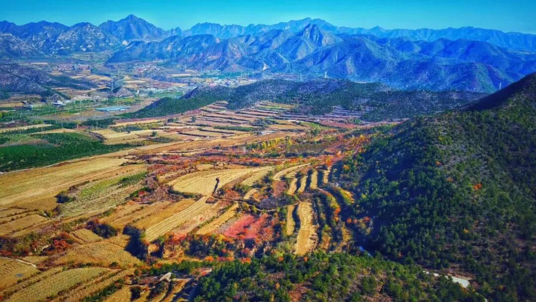 s型拉勾怎么拿【城乡拉勾】走进农场----燕云千亩有机杂粮基地_https://www.jmylbn.com_新闻资讯_第8张