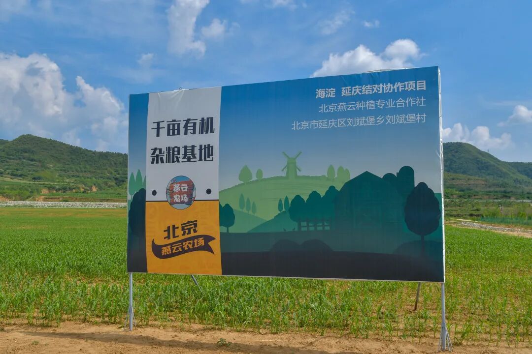 s型拉勾怎么拿【城乡拉勾】走进农场----燕云千亩有机杂粮基地_https://www.jmylbn.com_新闻资讯_第3张