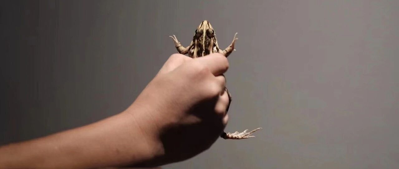 人一旦放弃底线，真的就前途光明...