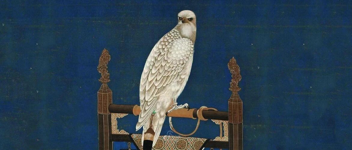 九子夺嫡，远比你想的惨...