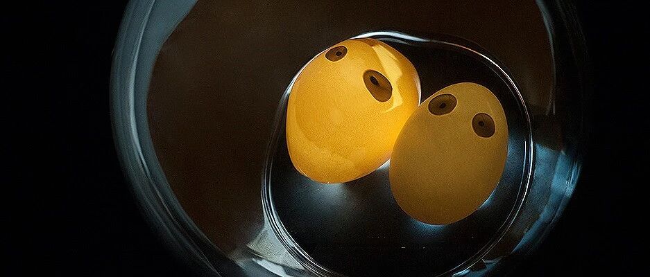 00后贫富差距特别大吗？