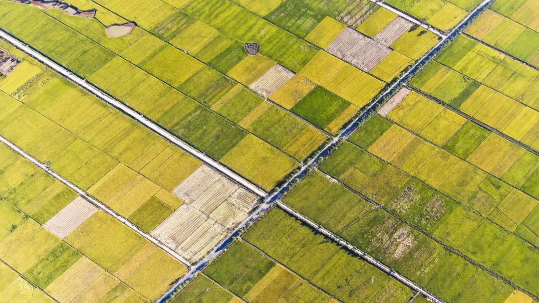 1 - 640？wx_fmt=jpeg.jpg