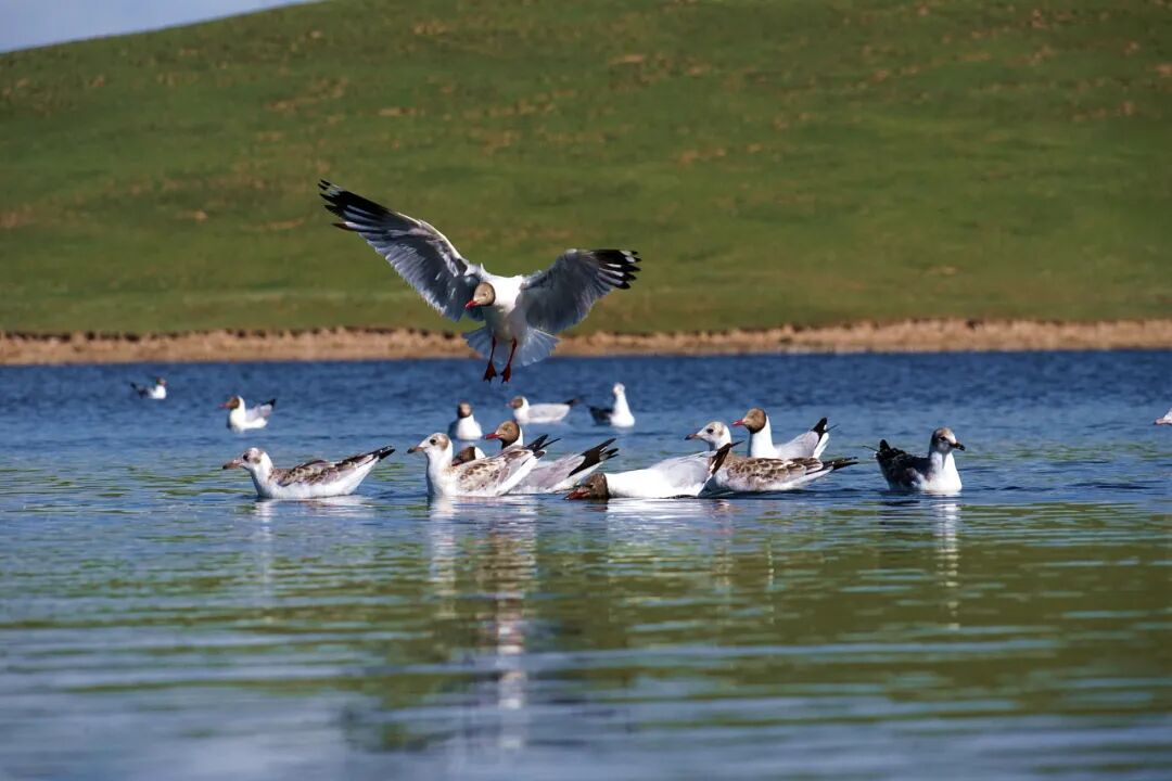 6 - 640？wx_fmt=jpeg.jpg