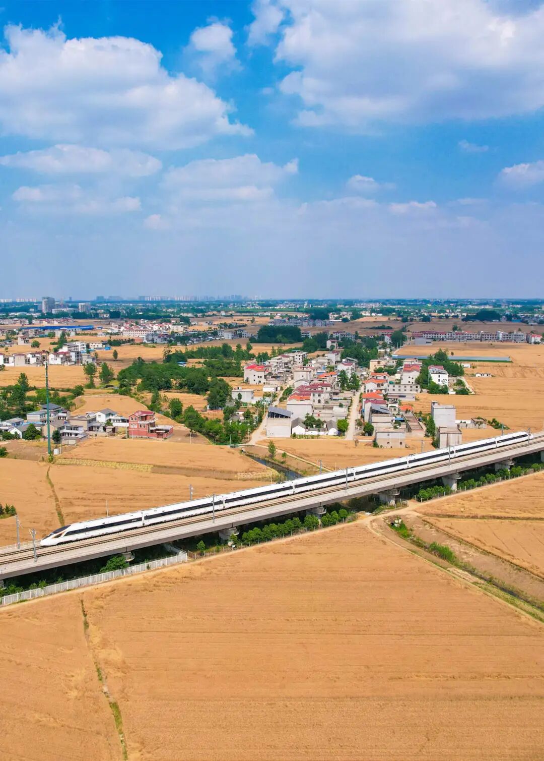 阜阳作为农业大市,粮食大市孙向东/摄张天峰/摄王朝阳/摄实现颗粒归仓