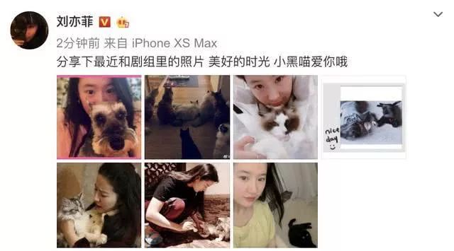 劉亦菲曬劇組擼貓照，給喵星人溫柔喂飯好寵溺，清純素顏美回18歲 寵物 第1張