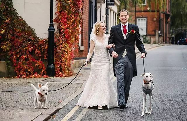 讓狗狗參與自己的婚禮？波蘭一對夫妻分享他們的心聲 萌寵 第2張