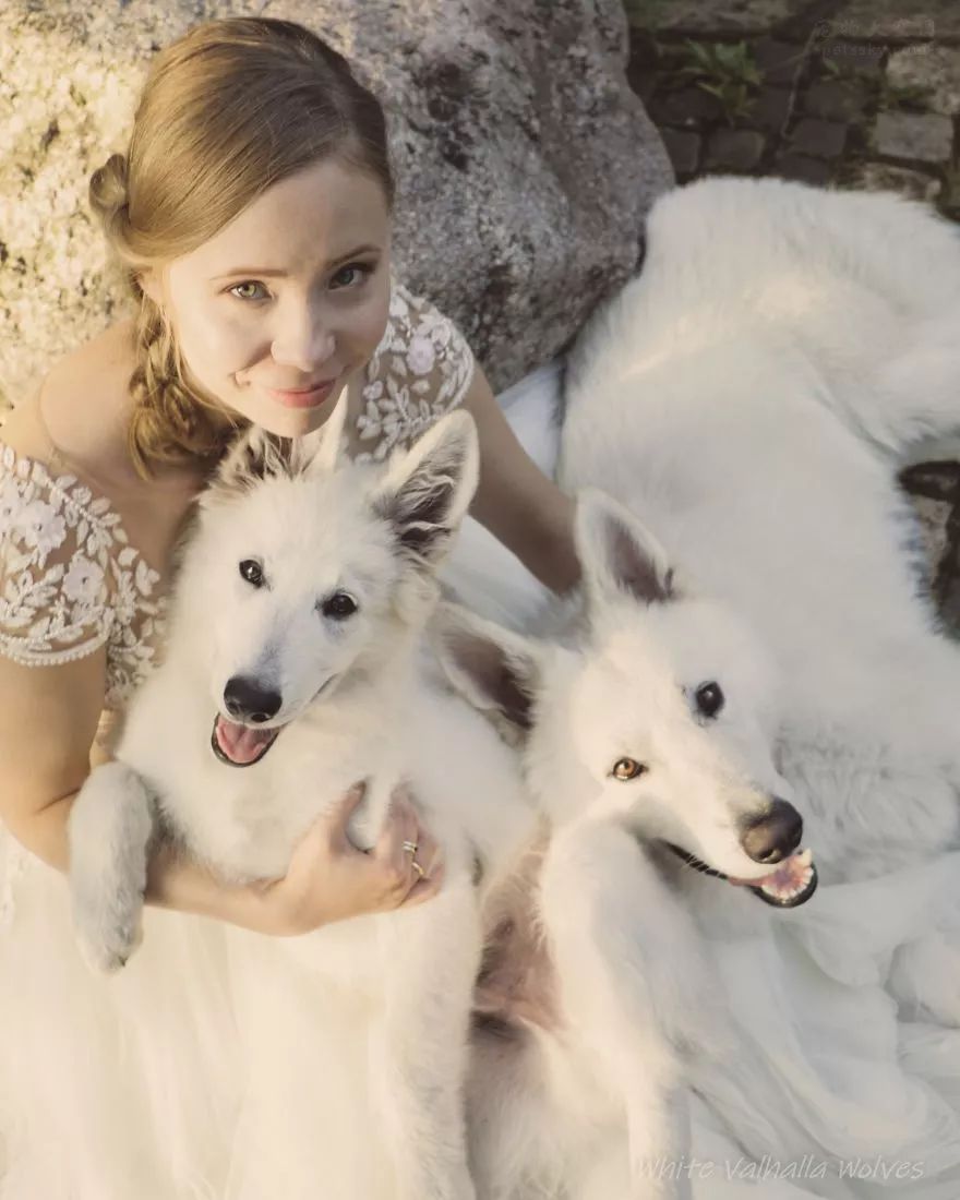 讓狗狗參與自己的婚禮？波蘭一對夫妻分享他們的心聲 萌寵 第6張