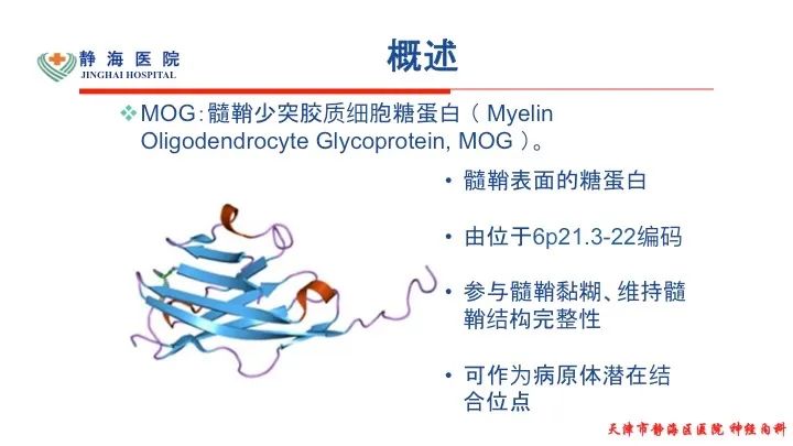 Mog抗体病 神经疾病日志 微信公众号文章阅读 Wemp