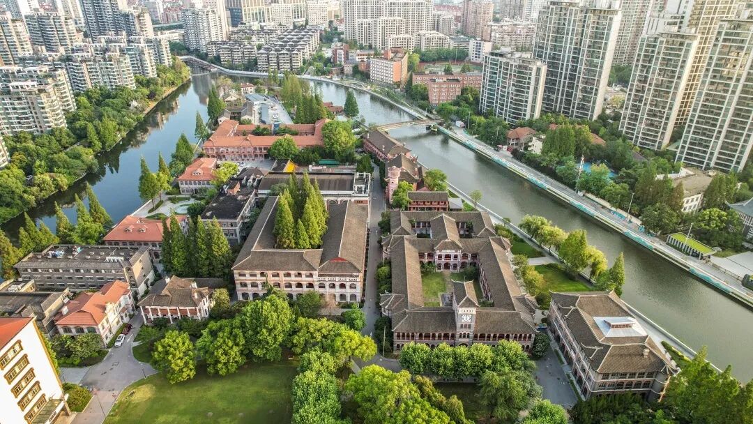 公园3号门空间,则以百年悬铃木为核心打造了一片绿草茵茵的梧桐广场