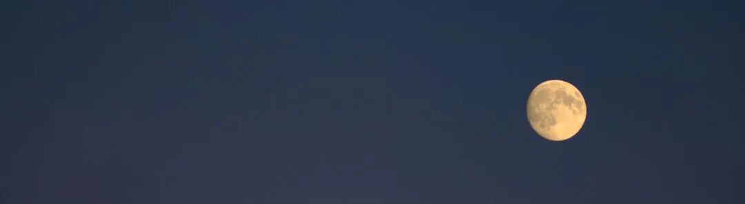 以案释法 | 投资虚拟货币赚大钱？小心有去无回