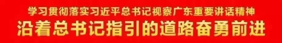 信箋印刷畫(huà)冊(cè)印刷_佛山畫(huà)冊(cè)印刷_鄭州畫(huà)冊(cè)印刷