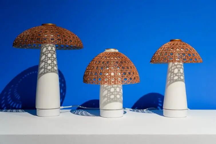 200件作品，135所高校，在鹭岛，看见工艺美术的新生力量！（图13）