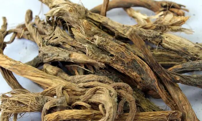 秦艽的图片,秦艽图片大全_中华康网