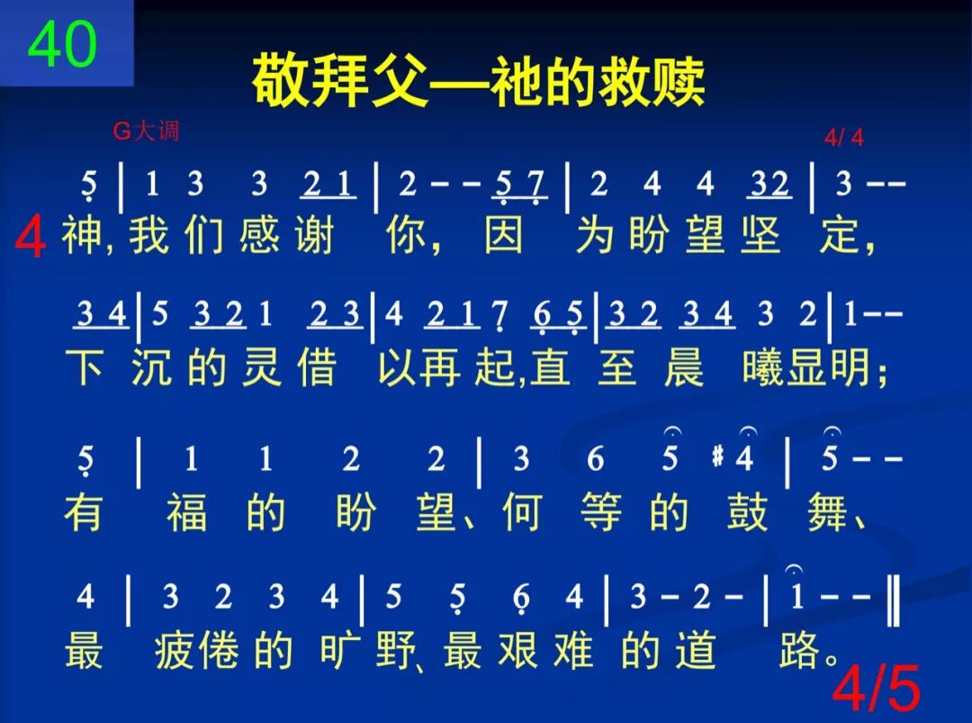 D40没有血没有坛(图4)