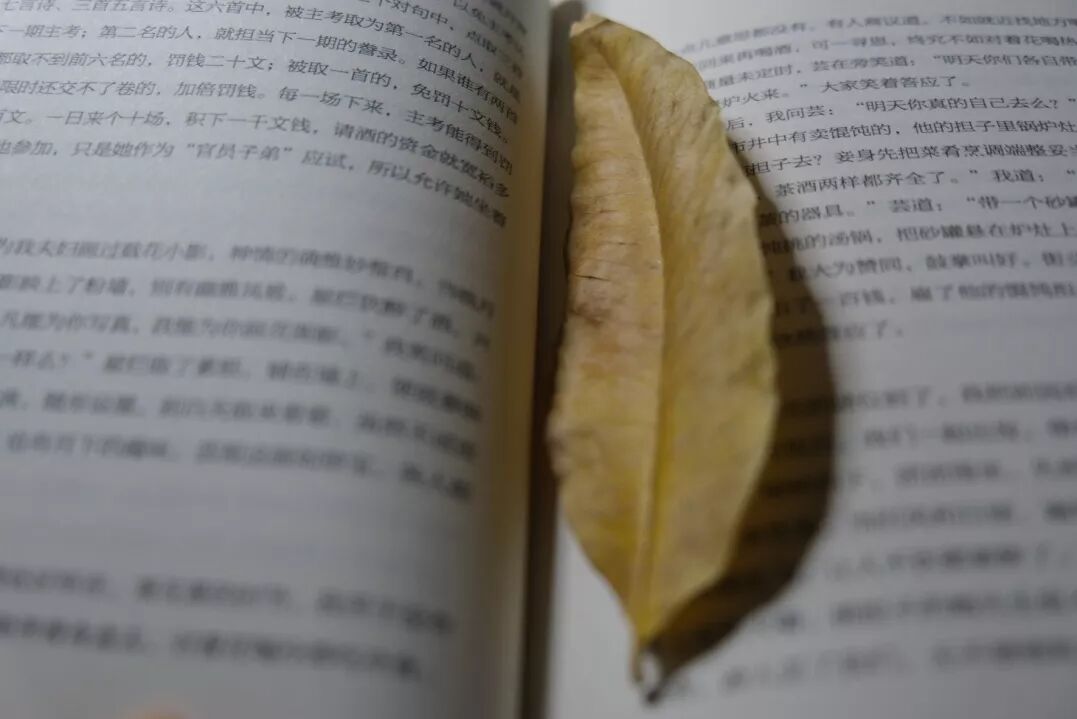 杭师大图书馆开放时间_杭师大图书馆几点关门_杭师大图书馆