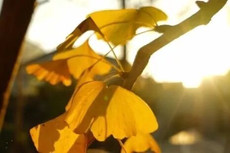 杭师大图书馆_杭师大图书馆几点关门_杭师大图书馆开放时间