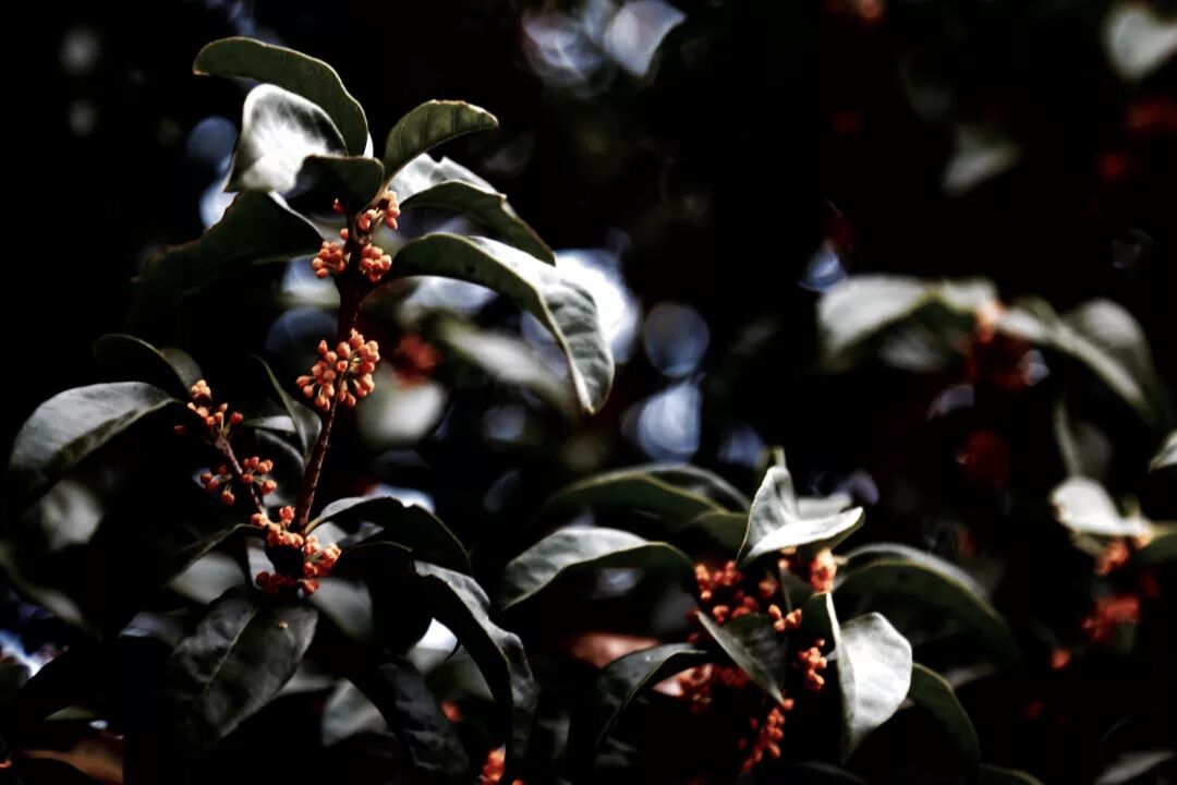 杭师大图书馆几点关门_杭师大图书馆_杭师大图书馆开放时间