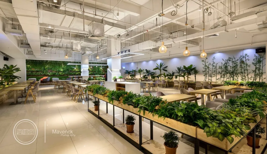 让自然生长于办公空间里 让自然生长于办公空间里